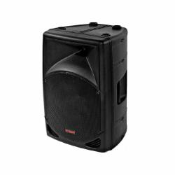 UNIVERSAL QUANTUM 10  10 250W 2YOLLU FULL RANGE HOPARLÖR