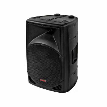 UNIVERSAL QUANTUM 10  10 250W 2YOLLU FULL RANGE HOPARLÖR